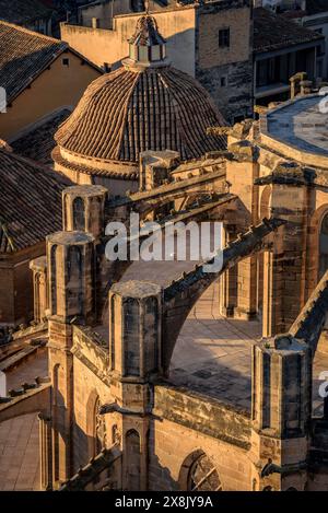 Particolare della cattedrale di Tortosa all'alba (Tarragona, Catalogna, Spagna) ESP: Detalle de la catedral de Tortosa al amanecer (Tarragona Cataluña Spagna) Foto Stock