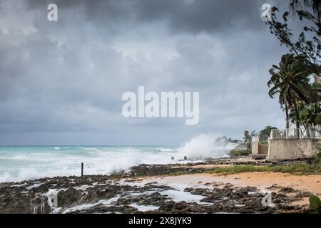 Le palme soffiano in caso di vento, maltempo, uragano in una posizione fronte spiaggia tropicale caraibica. Turbolento schema di inclement nelle Isole Cayman Foto Stock