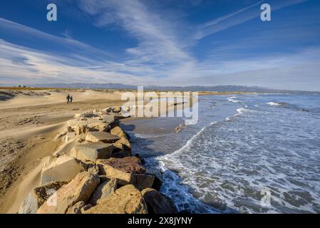 Muro di protezione che circonda il ristorante Vascos, nel Delta dell'Ebro (Tarragona, Catalogna, Spagna) ESP: Muro de Protección en el restaurante Vascos Foto Stock