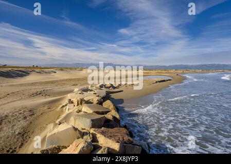 Muro di protezione che circonda il ristorante Vascos, nel Delta dell'Ebro (Tarragona, Catalogna, Spagna) ESP: Muro de Protección en el restaurante Vascos Foto Stock