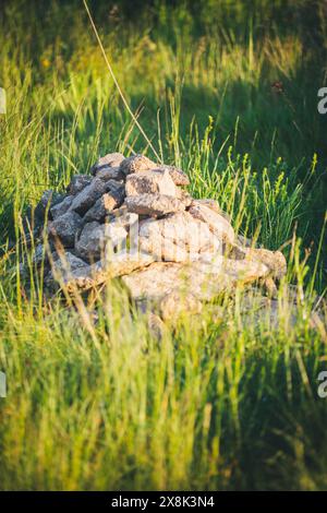 Cairn, un mucchio di pietre - un biotopo per piccoli animali come lucertole, ragni e coleotteri Foto Stock