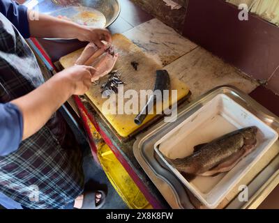 Lo chef taglia il pesce d'acqua dolce nella cucina di un ristorante Foto Stock