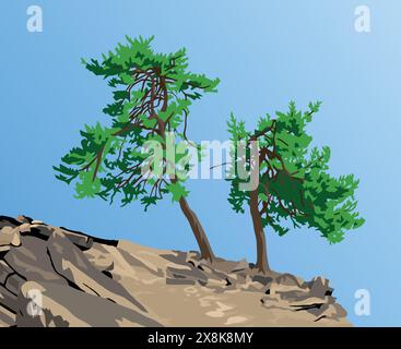 Alberi, due pini sulla collina isolati sullo sfondo blu del cielo Illustrazione Vettoriale