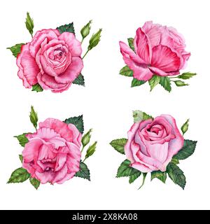 Composizioni di rose rosa. Set composizioni floreali. Fiore di rosa con foglie. Illustrazione ad acquerello disegnata a mano isolata su sfondo bianco. San Valentino Foto Stock