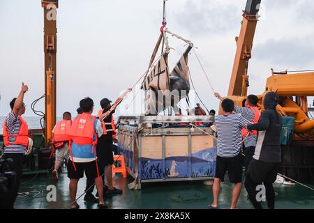 (240526) -- SANYA, 26 maggio 2024 (Xinhua) -- i membri del personale si preparano a rilasciare la balena pilota a pinna corta "Haitang" su una nave di ricerca scientifica, 26 maggio 2024. Il 3 gennaio di quest'anno, un pilota di balena a pinna corta maschio ferito è stato trovato bloccato nella baia di Haitang di Sanya. È stato inviato al Sanya Haichang Animal Conservation Center per il trattamento ed è stato chiamato "Haitang". Grazie alla meticolosa cura fornita da allevatori professionisti e volontari, "Haitang" si riprende bene ed è determinato a essere rimesso in mare dopo un esame approfondito e una valutazione da parte di esperti. (Xinhua Foto Stock