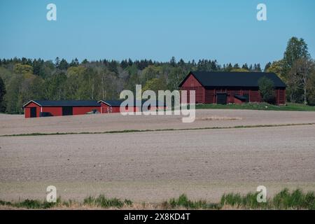 Helsinki / Finlandia - 19 MAGGIO 2024: Scenario rurale di una fattoria nordica e di un campo durante il periodo primaverile. Foto Stock