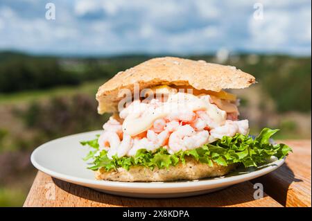 Un panino di gamberi svedesi poggia su un piatto bianco posto su un tavolo di legno. Il panino è ordinato e pronto per essere mangiato. La struttura del brea Foto Stock