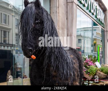 Mostra di cavalli neri Lloyds Bank con una carota in bocca davanti alla vetrina della banca in Kings Road London Chelsea in mostra di fiori 2024 Foto Stock