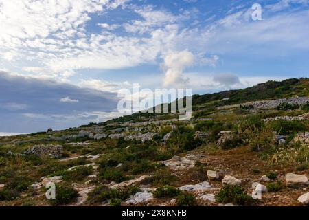Una natura selvaggia serena e incontaminata, con dolci colline di prati erbosi incorniciati da un vasto cielo blu e alberi alti. La natura al suo massimo splendore. Foto Stock