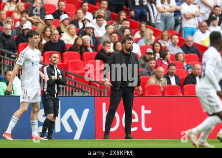 Londra, Regno Unito. 26 maggio 2024. Il manager del Southampton Russell Martin reagisce durante la finale di play-off del campionato EFL del Leeds United FC contro Southampton FC al Wembley Stadium, Londra, Inghilterra, Regno Unito il 26 maggio 2024 Credit: Every Second Media/Alamy Live News Foto Stock