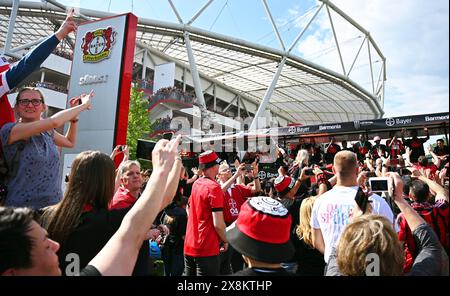 Leverkusen, Germania. 26 maggio 2024. I giocatori di Leverkusen arrivano alla BayArena in una sala giochi a bordo di un autobus scoperto. Il Bayer Leverkusen ha vinto la DFB Cup con una vittoria 1:0 contro 1. FC Kaiserslautern, completando così il doppio dopo aver vinto il campionato tedesco. Credito: David Inderlied/dpa/Alamy Live News Foto Stock