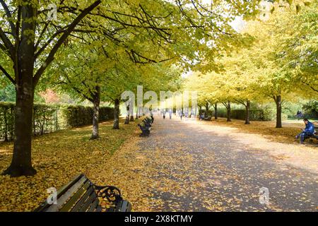 Londra, Regno Unito. 19 ottobre 2020. Regent's Park in autunno. Credito: Vuk Valcic/Alamy Foto Stock