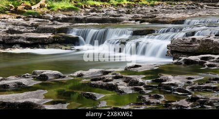 Yorkshire Dales National Park, North Yorkshire, Inghilterra. Lower Aysgarth Falls sul fiume Ure, Wensleydale. Foto Stock