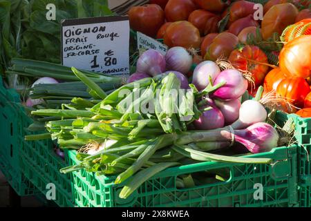 Ajaccio, Corse-du-Sud, Corsica, Francia. Cipolle rosse corso in vendita al tradizionale mercato agricolo all'aperto in Place Foch. Foto Stock