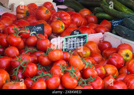 Ajaccio, Corse-du-Sud, Corsica, Francia. Selezione di pomodori corsi in vendita al tradizionale mercato agricolo all'aperto in Place Foch. Foto Stock