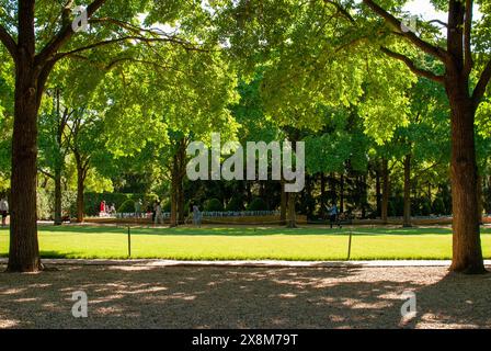 Sereno pomeriggio al Chicago Botanic Garden Foto Stock
