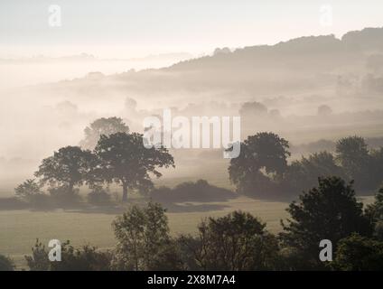 Splendidi strati nel paesaggio della Harewood Estate vicino a Leeds, West Yorkshire, mentre il sole nascente brucia la nebbia in tarda mattinata di primavera. Foto Stock