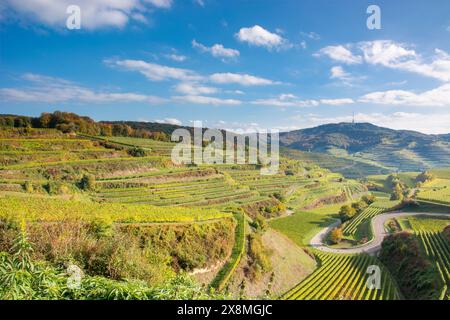 Texas Pass - paesaggio con vigneti a Kaiserstuhl Foto Stock