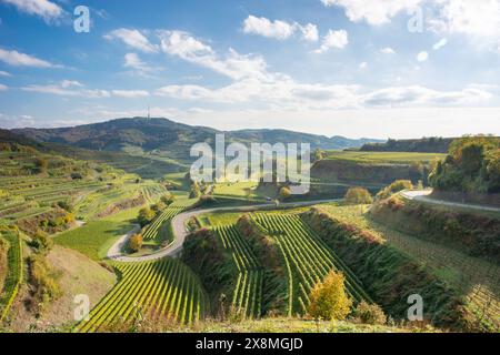 Texas Pass - paesaggio con vigneti a Kaiserstuhl Foto Stock