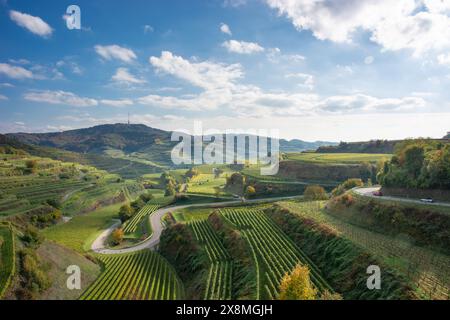 Texas Pass - paesaggio con vigneti a Kaiserstuhl Foto Stock