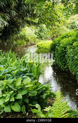 Il piccolo fiume Heacham scorre attraverso il villaggio di Sedgeford nel Norfolk. Foto Stock