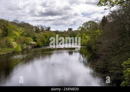 Vista del castello di Barnard dal fiume Tees in un giorno di primavera nuvoloso, contea di Durham, Inghilterra Foto Stock