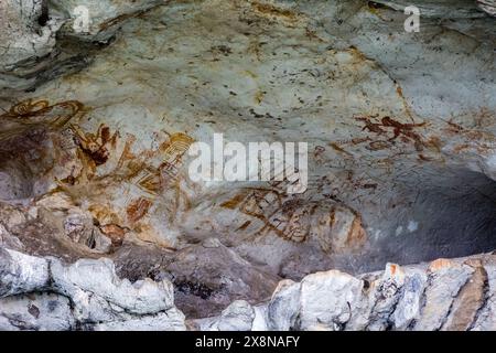 Antiche pitture rupestri di pesci e animali in una piccola grotta nella baia di Phang Nga, Thailandia Foto Stock