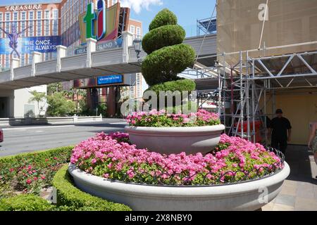 Las Vegas, Nevada, USA 15 ore maggio 2024 The Venetian Hotel & Casino in Las Vegas Blvd il 15 maggio 2024 a Las Vegas, Nevada, USA. Foto di Barry King/Alamy Stock Photo Foto Stock