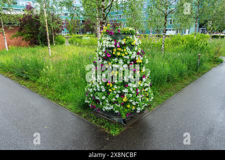 Olten, Svizzera - 25 maggio 2024: Un'erba verde vibrante e un giardino verticale fiorito, marciapiedi, piogge Foto Stock