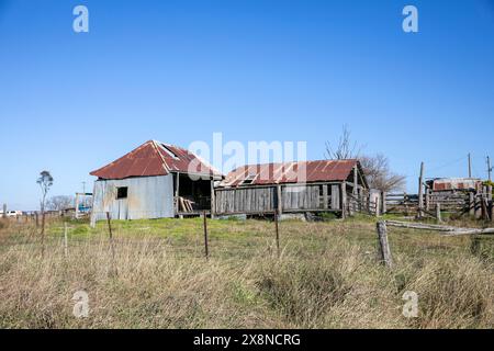 Fattoria australiana, capannoni rustici ed edifici agricoli in una fattoria australiana nel parco nazionale Oxley Wild River, NSW, Australia Foto Stock