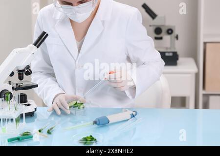 Controllo qualità. Ispettore alimentare che esamina il cetriolo in laboratorio Foto Stock