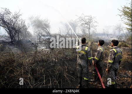 NOIDA, INDIA - MAGGIO 26: Il personale dei vigili del fuoco spegne l'incendio in una foresta nel settore 42, il 26 maggio 2024 a Noida, India. (Foto di Sunil Ghosh/Hindustan Times/Sipa USA ) credito: SIPA USA/Alamy Live News Foto Stock