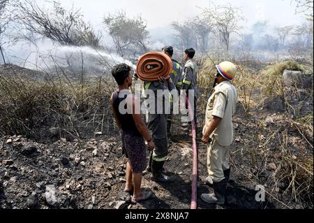 NOIDA, INDIA - MAGGIO 26: Il personale dei vigili del fuoco spegne l'incendio in una foresta nel settore 42, il 26 maggio 2024 a Noida, India. (Foto di Sunil Ghosh/Hindustan Times/Sipa USA ) credito: SIPA USA/Alamy Live News Foto Stock