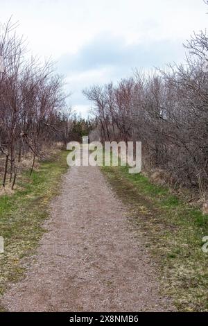 Sentieri al Greenwich National Park a St. Peters Bay, Prince Edward Island, Canada Foto Stock