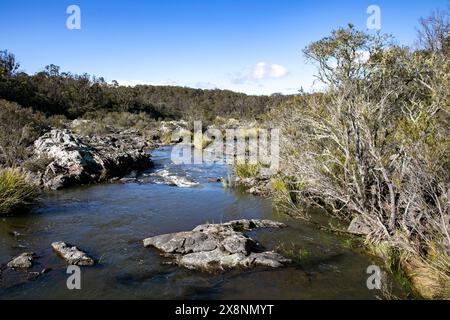 Dangars Gorge, patrimonio dell'umanità dell'unesco, nel parco nazionale Oxley Rivers, con cascata Dangars, sentieri per escursioni e campeggio, NSW, Australia Foto Stock