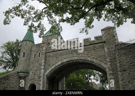 The Tree and St Louis Gate - Quebec City, Canada Foto Stock