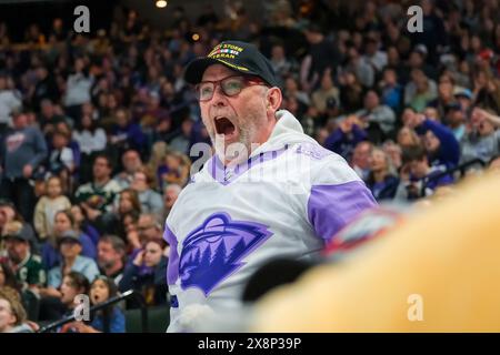 St. Paul, Minnesota, Stati Uniti. 26 maggio 2024. Un fan racconta la pista durante la gara 4 delle finali inaugurali della PWHL tra Minnesota e Boston all'Xcel Energy Center di St. Paul. Boston ha vinto al secondo tempo supplementare 1-0. (Immagine di credito: © Steven Garcia/ZUMA Press Wire) SOLO PER USO EDITORIALE! Non per USO commerciale! Foto Stock