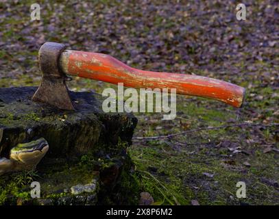 L'ascia rossa turistica è bloccata nel ceppo d'albero. Foto Stock