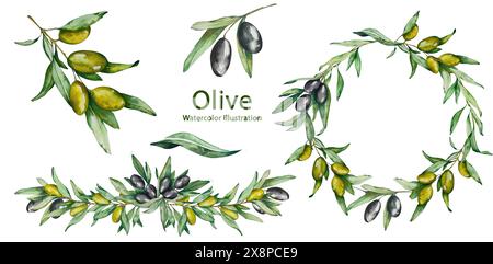 Impostare Acquerello Olive Twigs, frutta, foglie. Wreath, Garland. Olive nere e verdi. Per Packaging Design Cosmetics, Kitchen, Home Textiles, Invitatio Foto Stock