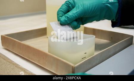 Concetto di ricerca di laboratorio. Fermo. Primo piano delle mani con i guanti, inserendo una sottile piastra metallica nella sostanza chimica liquida. Foto Stock