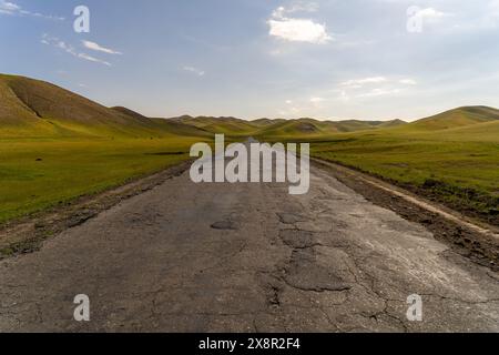 Una strada nel mezzo di un deserto con qualche mucca sullo sfondo Foto Stock