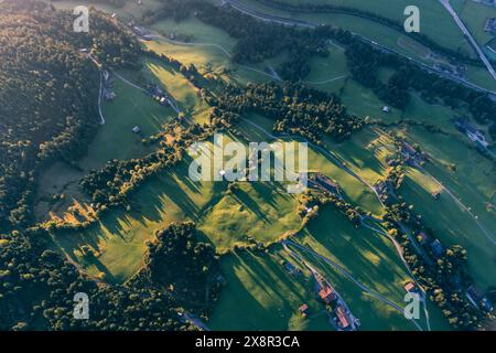 Vista aerea, prati verdi, ombre di alberi, strade tortuose Foto Stock