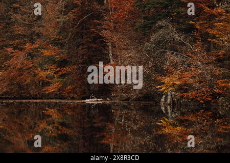 Tranquillo lago autunnale con vivaci riflessi degli alberi Foto Stock