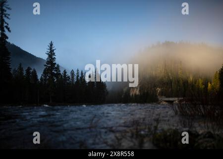 Luce mattutina sul fiume Lochsa Foto Stock