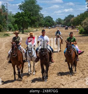 Gruppo di pellegrini che fanno la parte finale del pellegrinaggio di El Rocio sui tradizionali carri trainati da cavalli o buoi lungo i sentieri sabbiosi Foto Stock