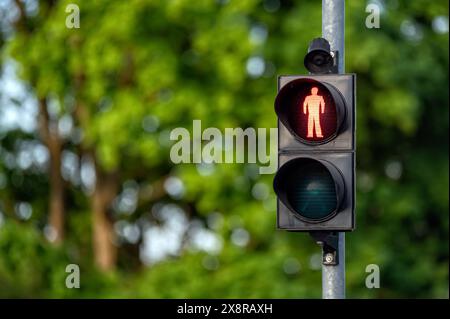 I segnali luminosi rossi per pedoni si fermano con alberi verdi sullo sfondo. Profondità bassa del campo Foto Stock