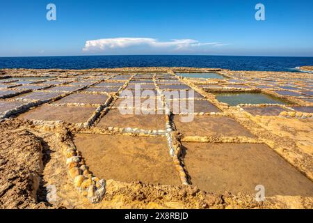 Pittoresca scena delle tradizionali saline della baia di Xwejni sulla spiaggia dell'isola di Gozo, Malta. Foto Stock