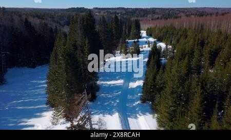 Giornata di sole nella foresta invernale. Fermo. Veduta aerea di una lunga strada su un terreno innevato tra alberi verdi. Foto Stock