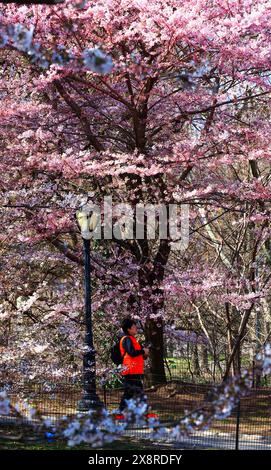 New York, Stati Uniti. 3 aprile 2023. Scene di vita quotidiana di strada. Crediti: Nidpor/Alamy Live News Foto Stock