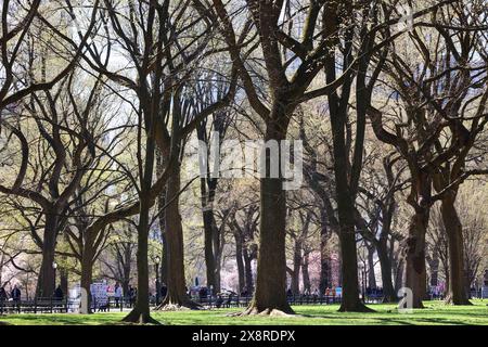 New York, Stati Uniti. 3 aprile 2023. Scene di vita quotidiana di strada. Crediti: Nidpor/Alamy Live News Foto Stock